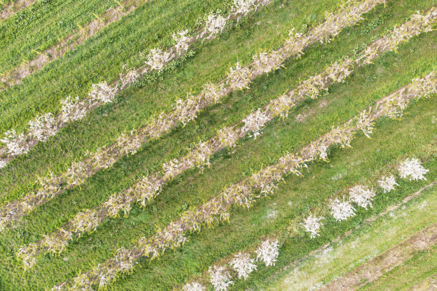 无人机研学实践