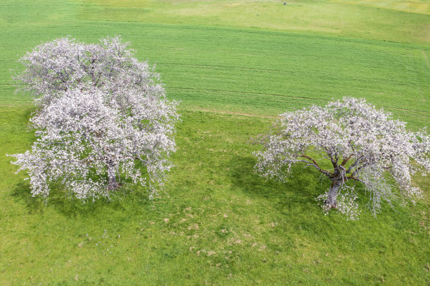 无人机研学实践