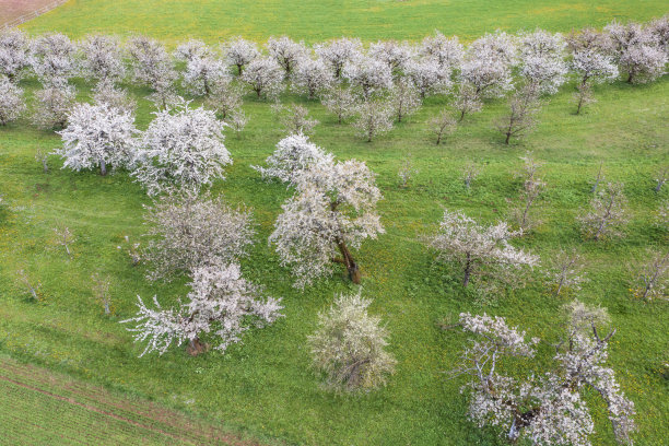 无人机研学实践