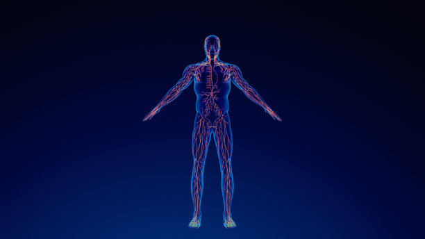 thymus