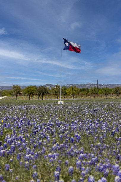 texas