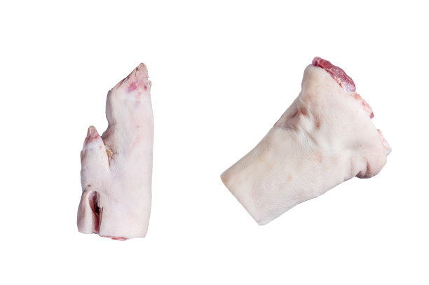 trotter