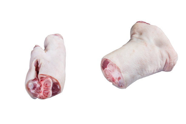 trotter