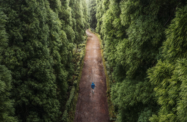 pathway