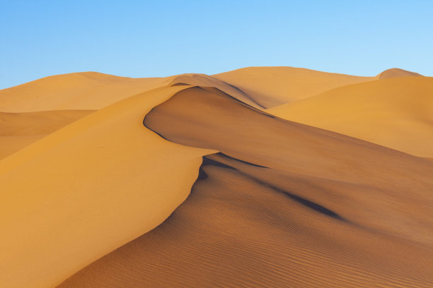 dune