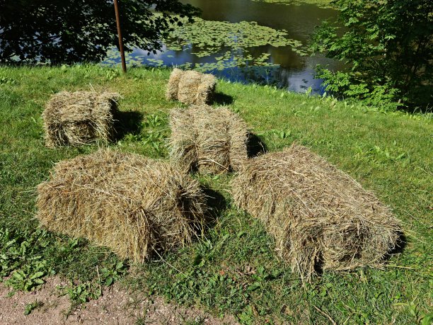 bale
