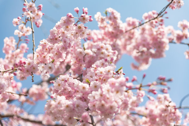 april