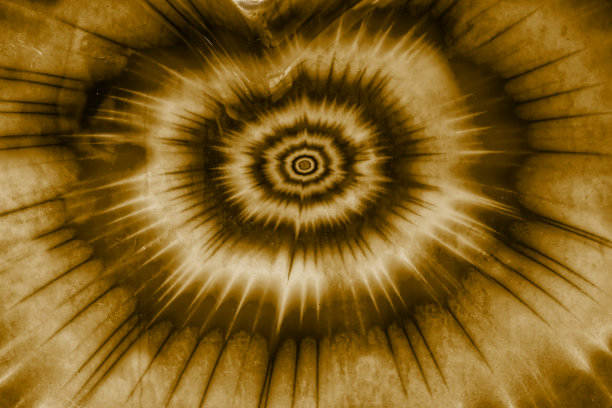 圆形彩色折光纹