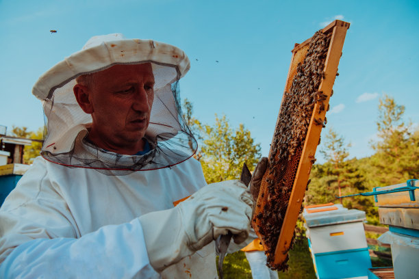 beekeeper