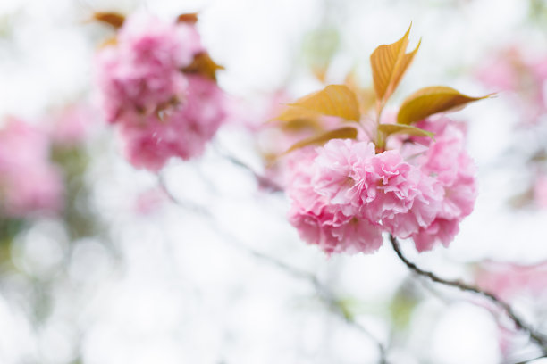 april