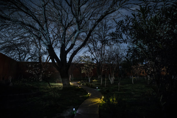 pathway
