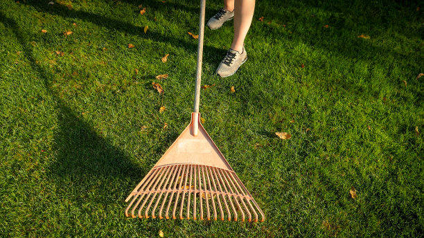 rake