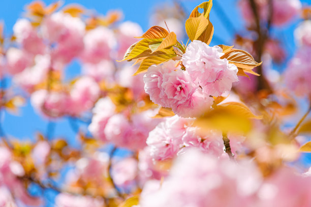 april