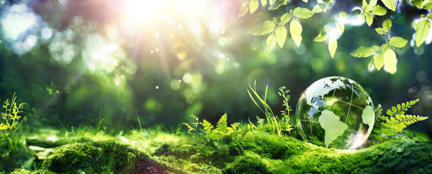 climate