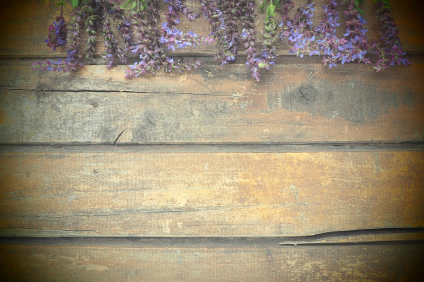 liatris
