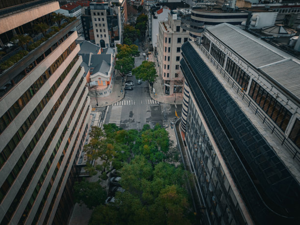 现代玻璃幕墙高楼与绿树