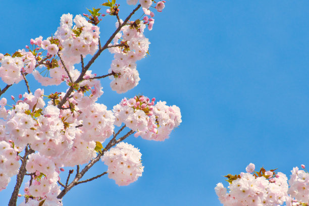 april