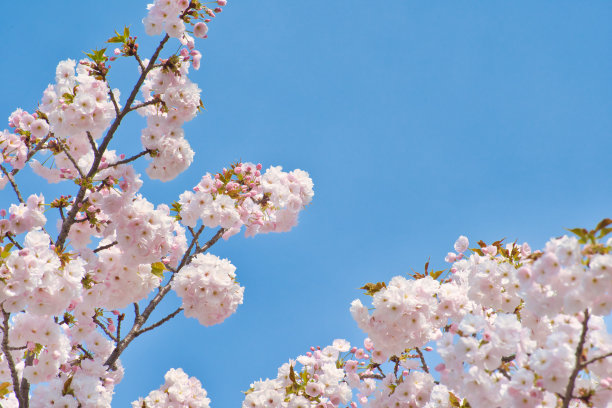 april