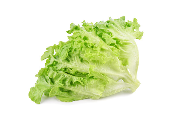 romaine