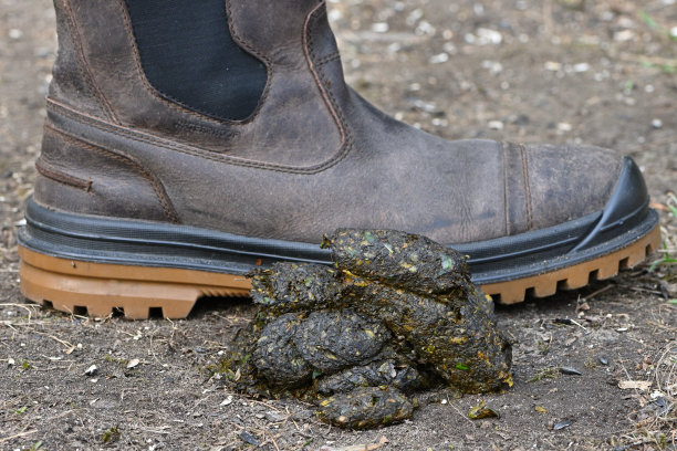 poo