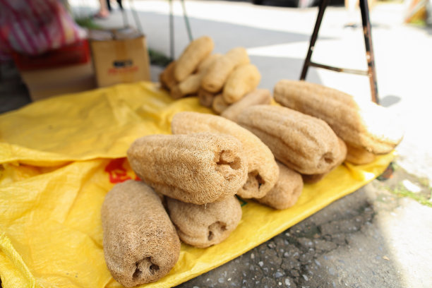 海绵动物门,跳蚤市场,纹理效果