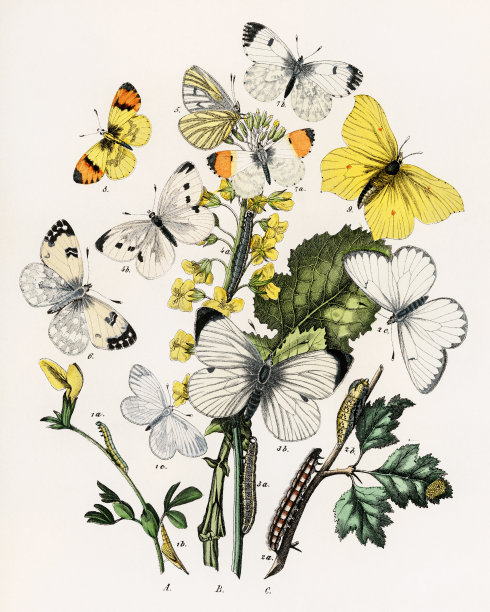 1889