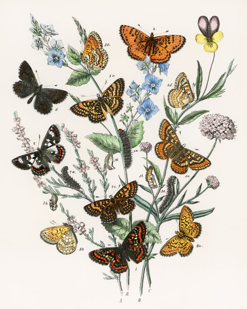 1889
