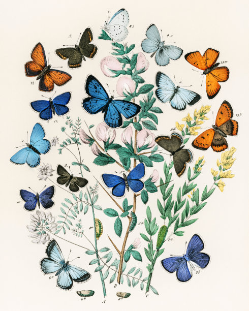 1889
