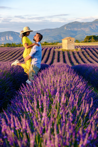 provence