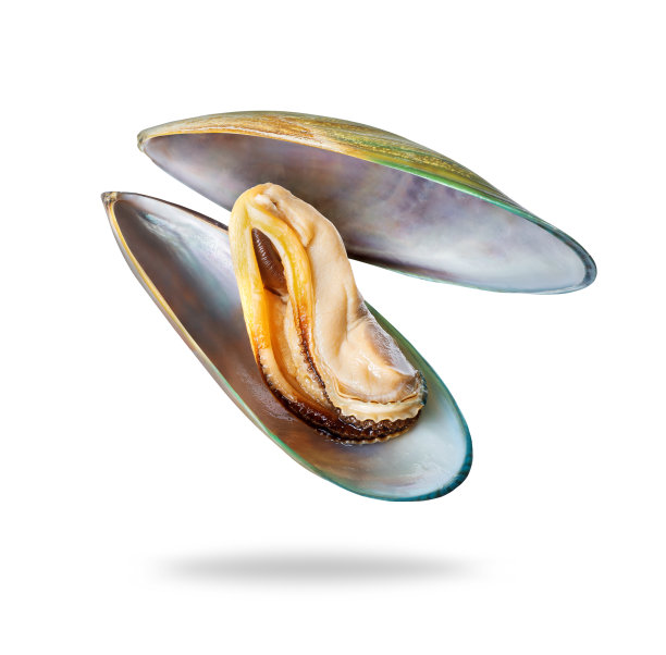cockle