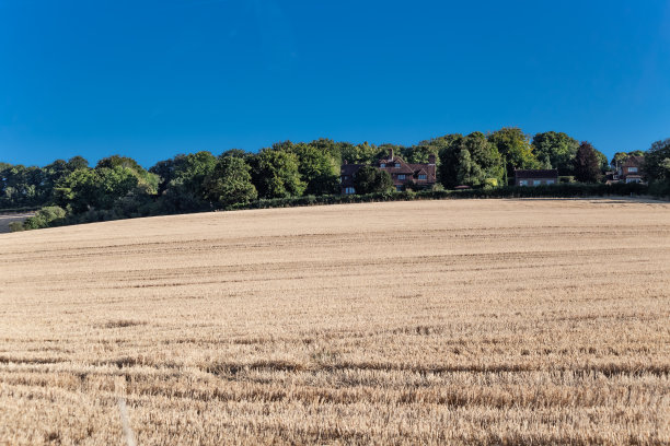 surrey