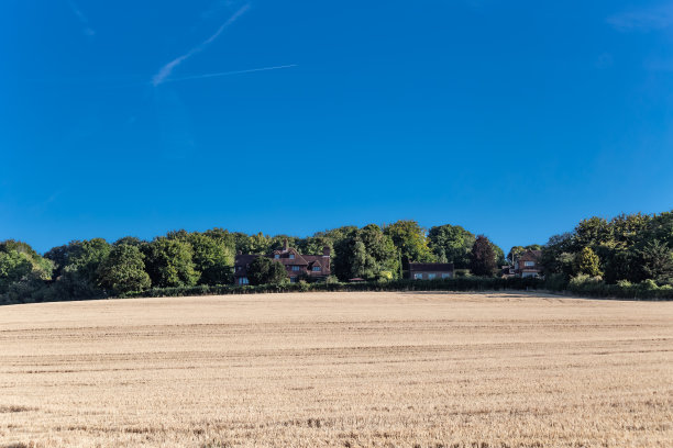 surrey