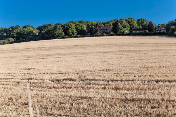 surrey