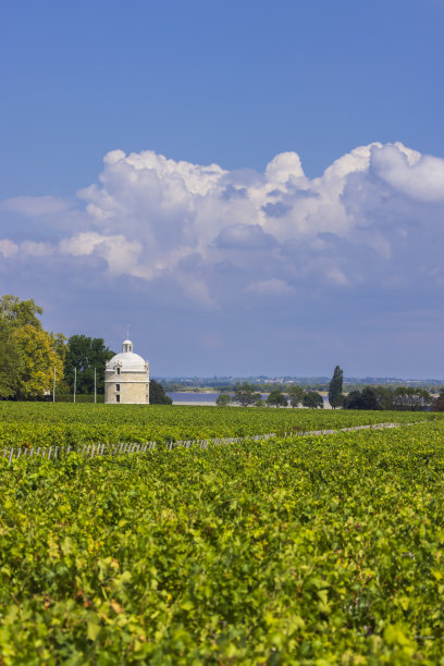 bordeaux