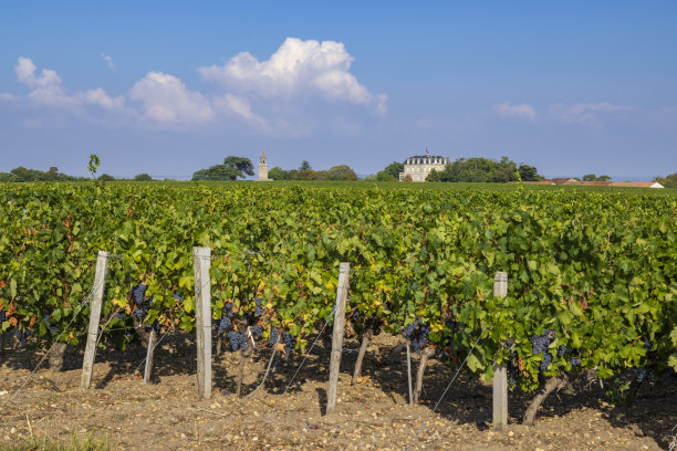 bordeaux