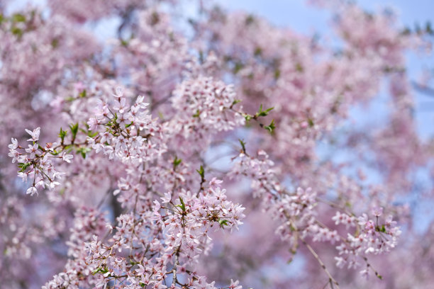 april