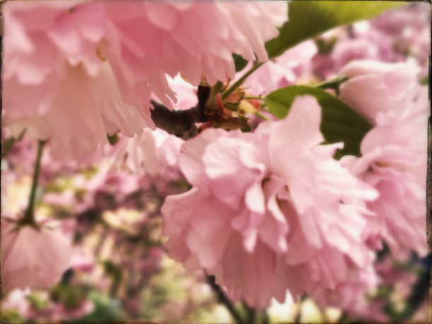 april