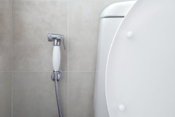 bidet