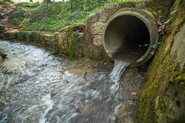 ditch