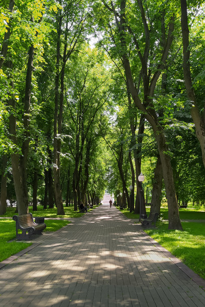 avenue