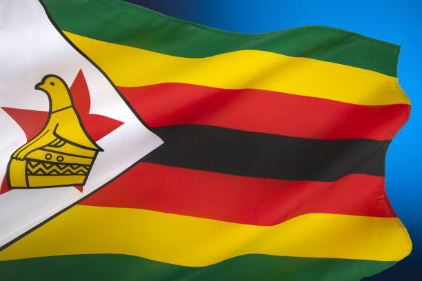 zimbabwean