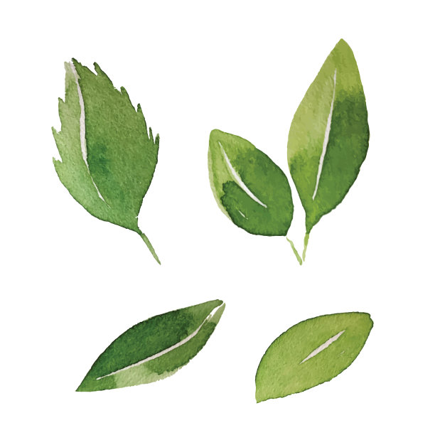 herbs