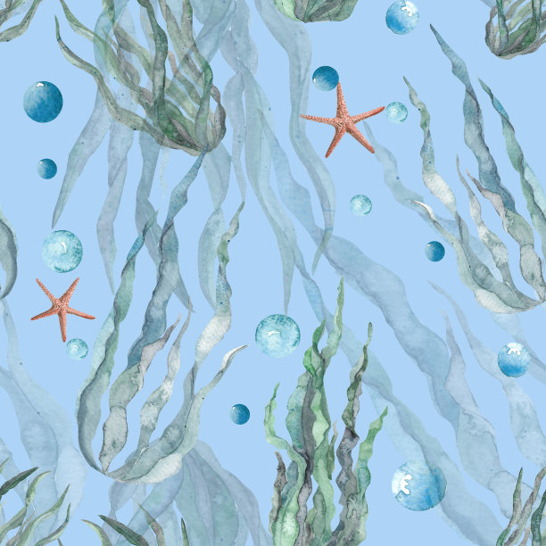 海底生物花纹