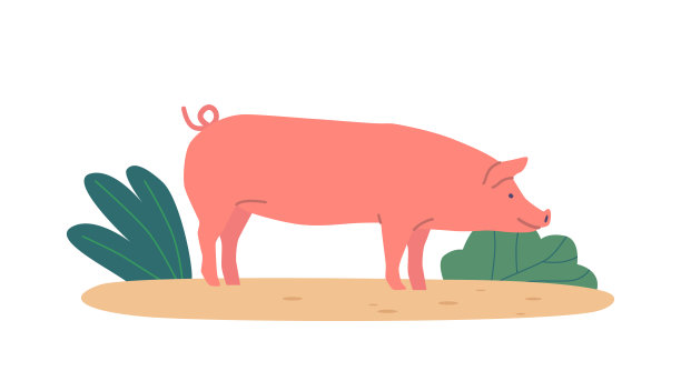 环保养猪
