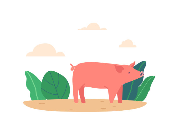 环保养猪