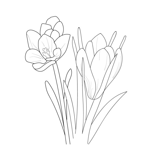 saffron