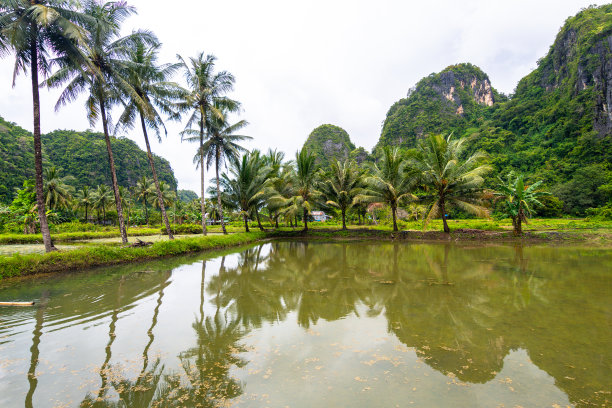 kampung