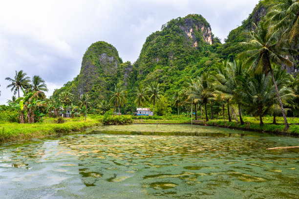 kampung