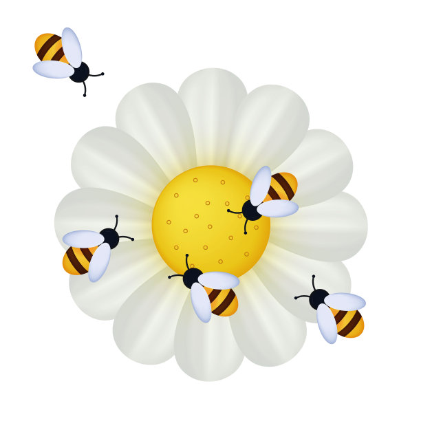pollination