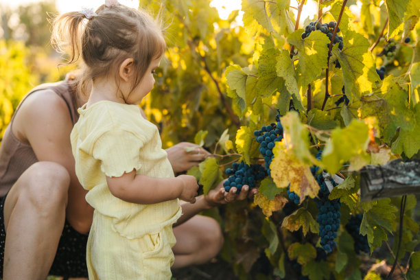 摘葡萄的少女